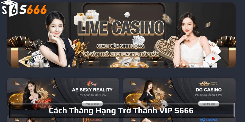 Cách thăng hạng trở thành VIP S666