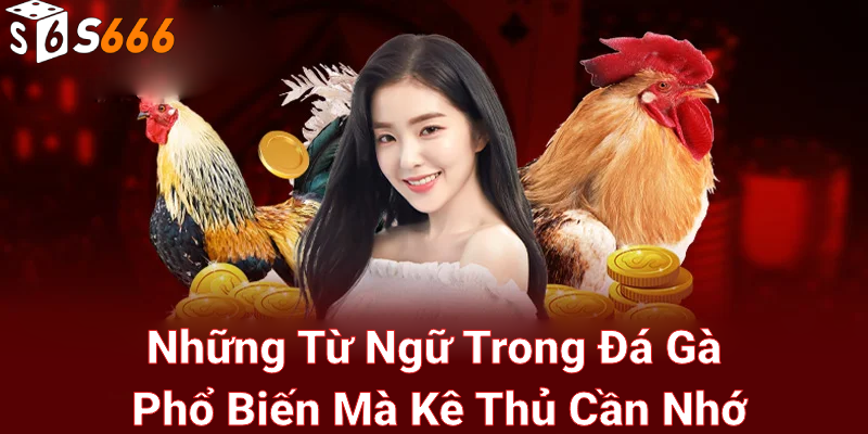 Những từ ngữ trong đá gà là gì?