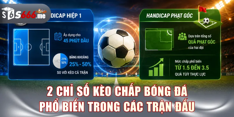 2 chỉ số kèo chấp bóng đá phổ biến được áp dụng trong các trận đấu