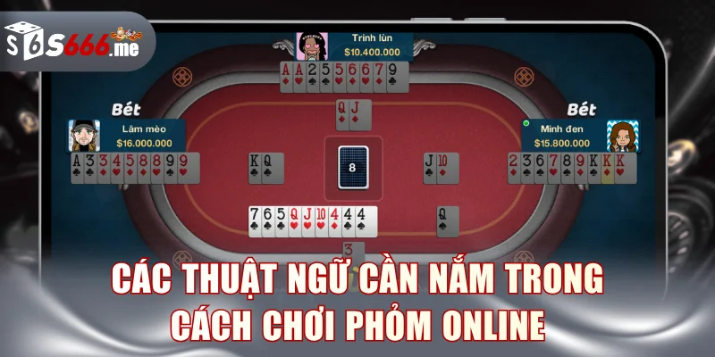 Các thuật ngữ cần nắm trong cách chơi Phỏm online