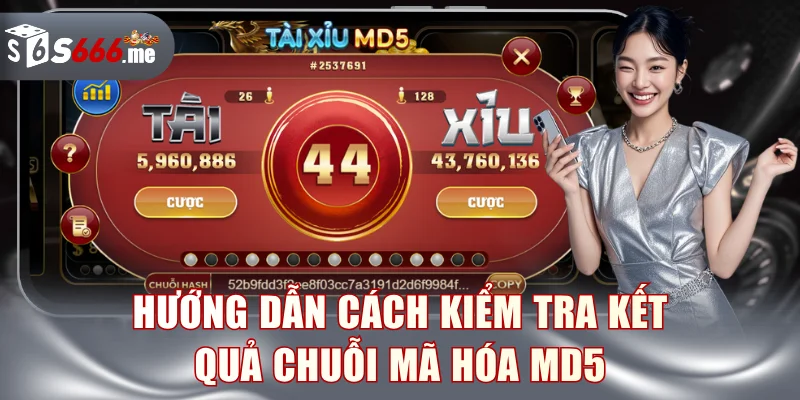Hướng dẫn cách kiểm tra kết quả chuỗi mã hóa MD5
