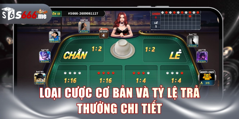 Loại cược cơ bản và tỷ lệ trả thưởng chi tiết