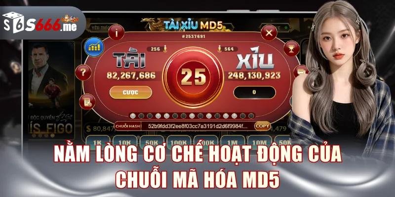 Nằm lòng cơ chế hoạt động của chuỗi mã hóa MD5