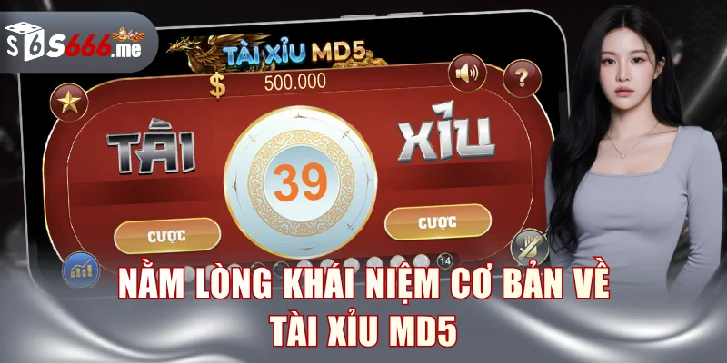 Nằm lòng khái niệm cơ bản về Tài Xỉu MD5