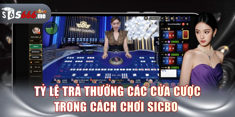 Tỷ lệ trả thưởng các cửa cược trong cách chơi sicbo